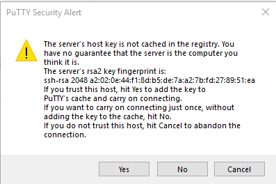 PuTTY security alert
