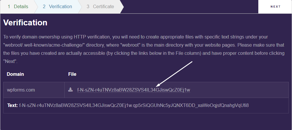 domain verification