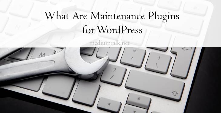 What Are Maintenance Plugins for WordPress